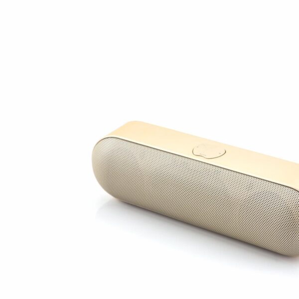 Portable Bluetooth Speaker