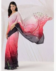 Vibrant Verses Saree