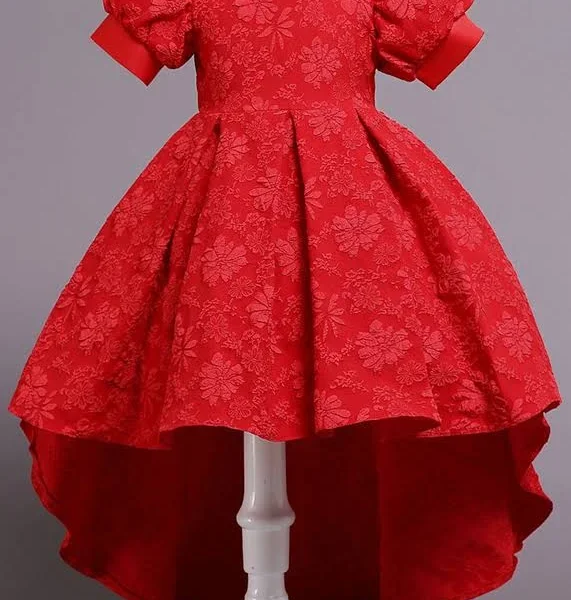 Floral Embroidered Party Dress